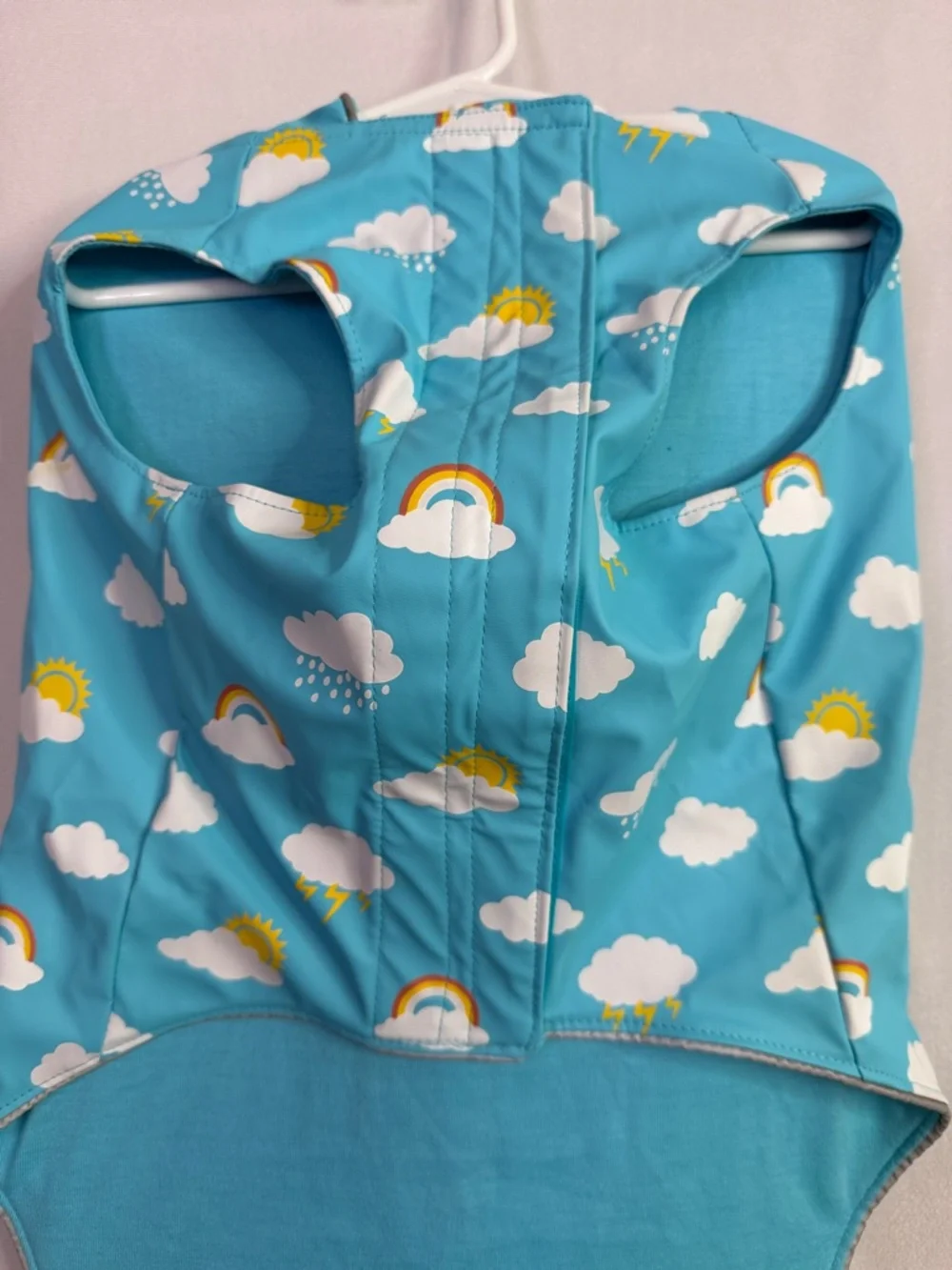 Blue Cloud & Rainbow Dog Raincoat - Brand Unspecified